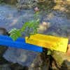 Erzi-Wasser-und-Murmelstrasse-04