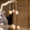 Grapat-Wonder-Balls-03.jpg