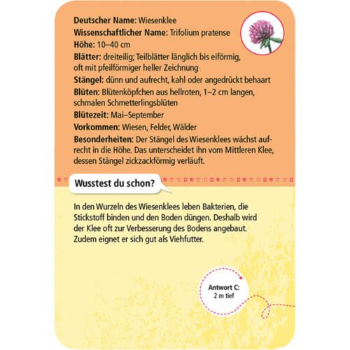 Moses-Verlag-Expedition-Natur-50-heimische-Blumen-02