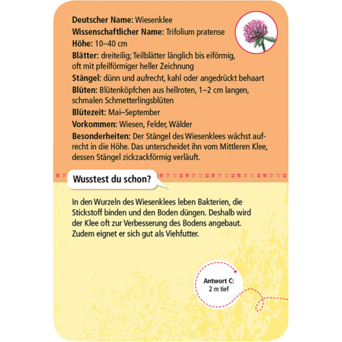 Moses-Verlag-Expedition-Natur-50-heimische-Blumen-02