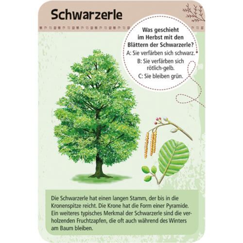Moses-Verlag-Expedition-Natur-50-heimische-Bäume-02