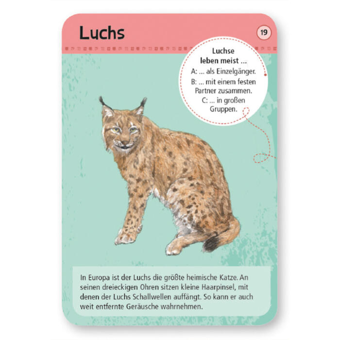 Moses-Verlag-Expedition-Natur-50-heimische-Wald-und-Wildtiere-02