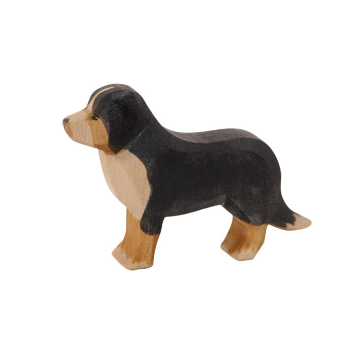 Ostheimer-Berner-Sennhund-10521