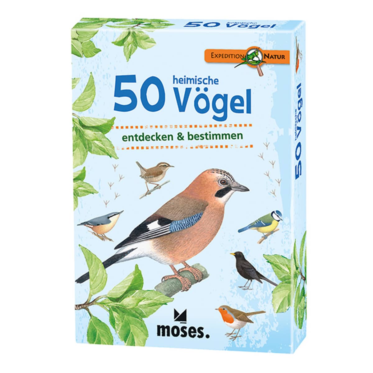 Moses-Exp-Natur-50-heimische-Vögel-01