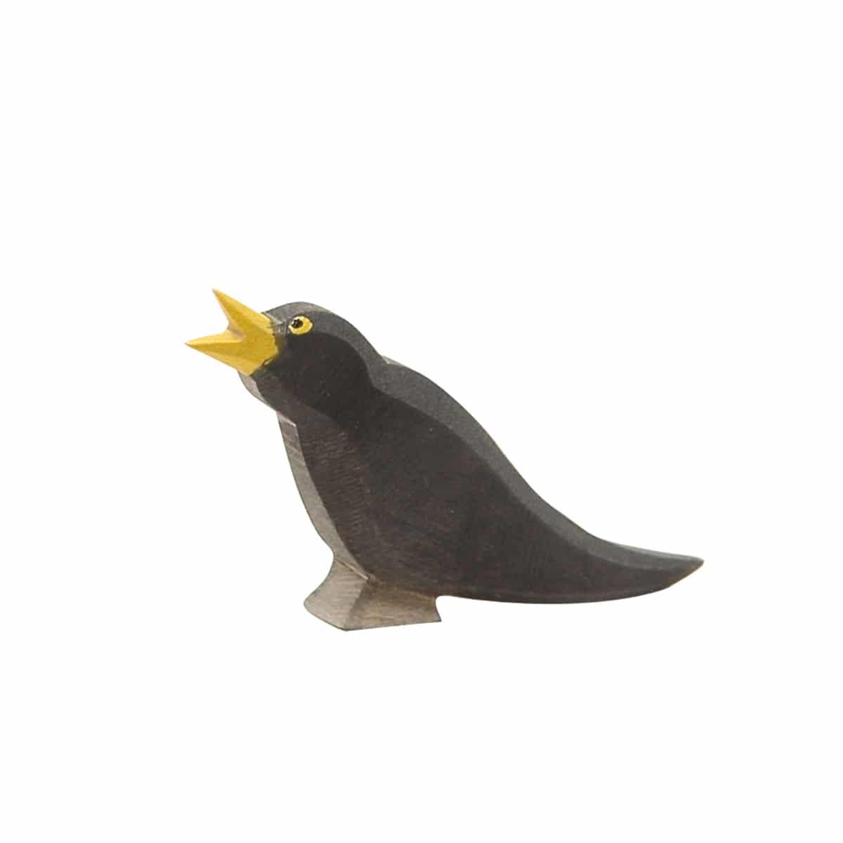 Ostheimer-Amsel-16801