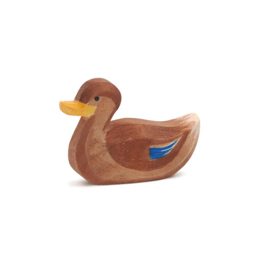 Ostheimer-Ente-schwimmend-13212