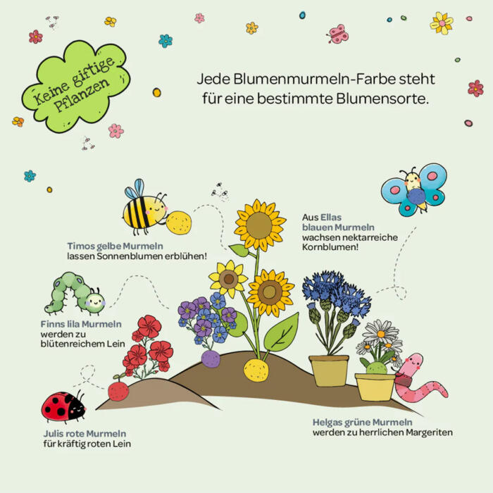 Die-Stadtgärtner-100-Blumenmurmeln-in-Dose-08