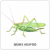 Moses-Expedition-Natur-Das-große-Insekten-Memo-05.jpg