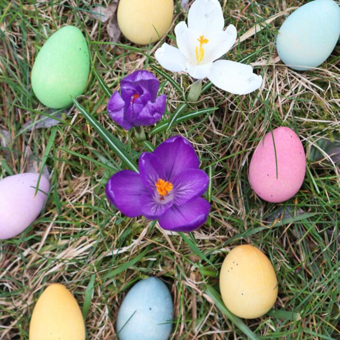 Grapat-Happy-Eggs-07.jpg