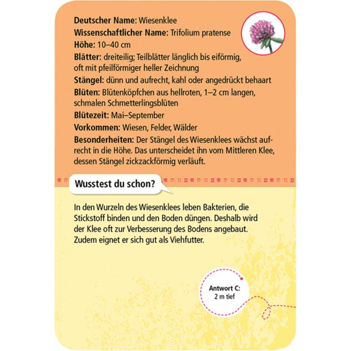 Moses-Verlag-Expedition-Natur-50-heimische-Blumen-02