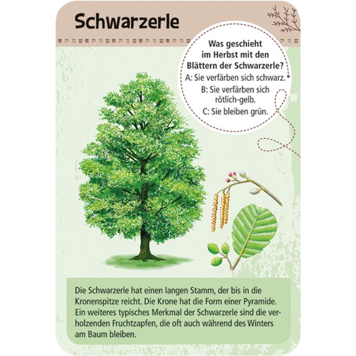 Moses-Verlag-Expedition-Natur-50-heimische-Bäume-02
