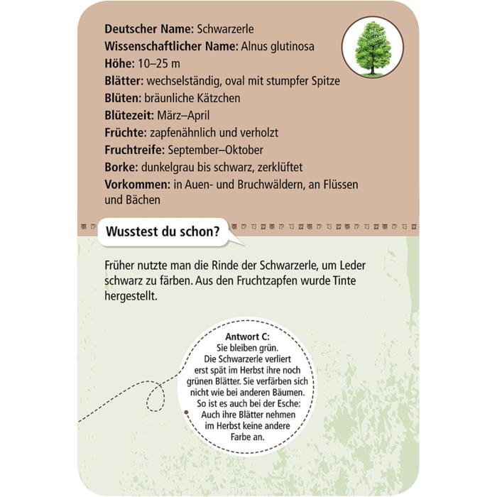 Moses-Verlag-Expedition-Natur-50-heimische-Bäume-03
