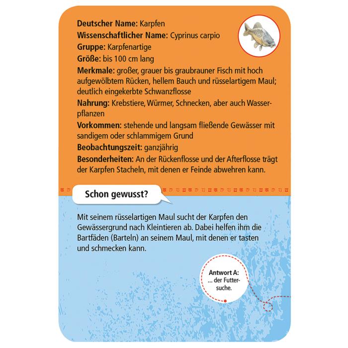 Moses-Exp-Natur-50-Tiere-und-Pflanzen-an-Bach-und-Teich-03