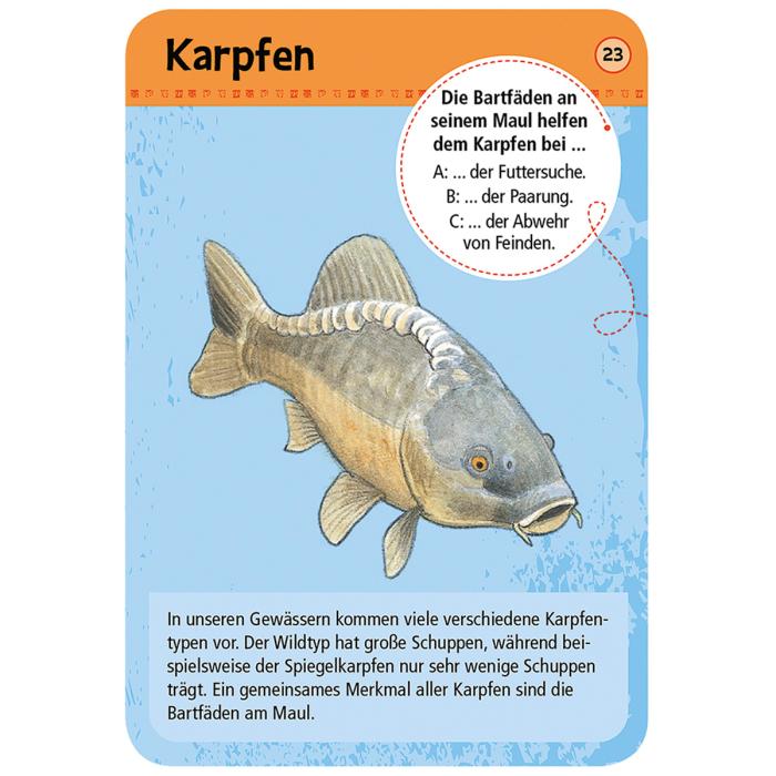 Moses-Exp-Natur-50-Tiere-und-Pflanzen-an-Bach-und-Teich-02