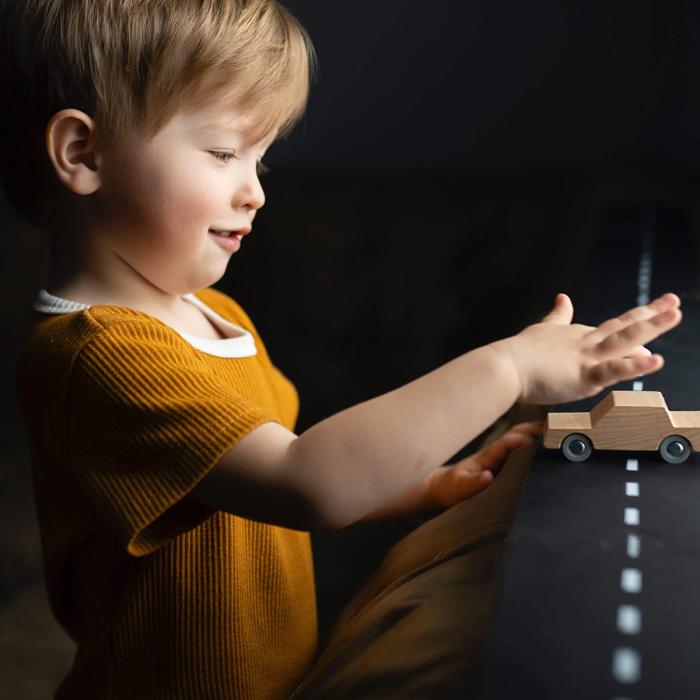 Waytoplay-back-and-forth-car-wood-03