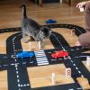Waytoplay-King-of-the-Road-Car-Edition-03