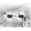Kraul-Magnetische-Kräfte-03