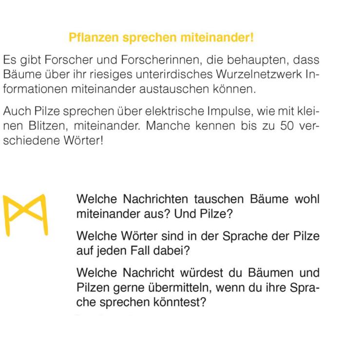 Kraul-raus-in-den-Wunderwald-04