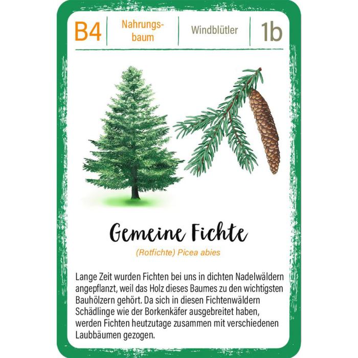 Moses-Expedition-Natur-Quartett-Bäume-03