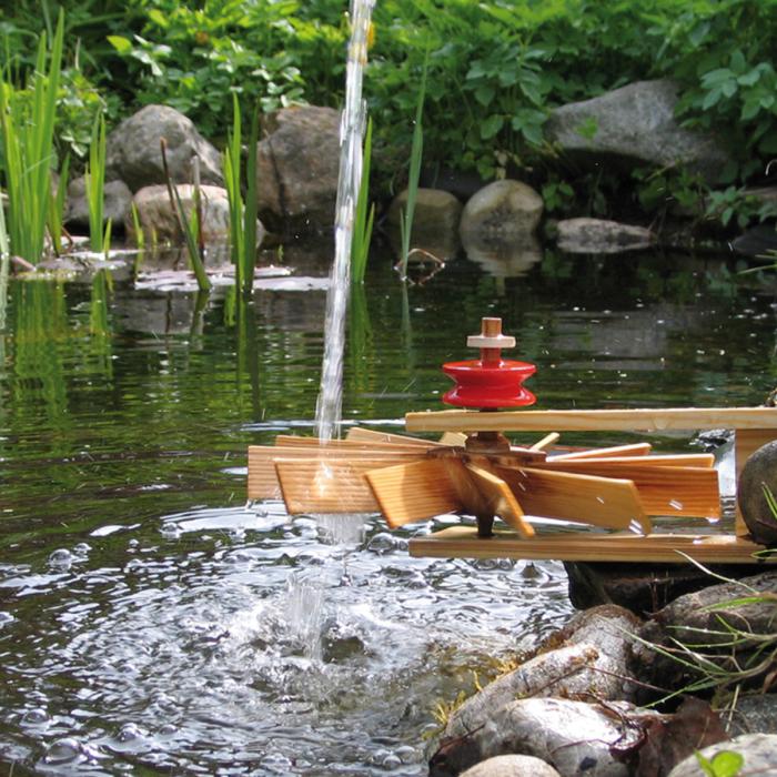Kraul-Turbinchen-Schnellläufer-02