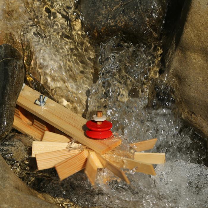 Kraul-Turbinchen-Schnellläufer-04