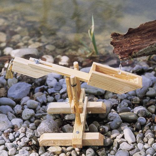 Kraul-Schnepfe-Wasserwippe-02