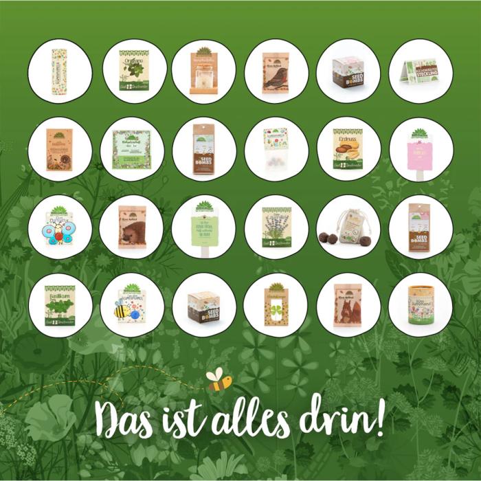 Die-Stadtgärtner-Adventskalender-2024-05.jpg