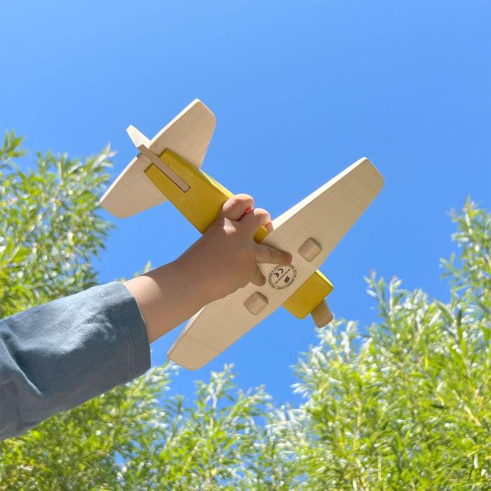 Holler-Poller-Propellerflugzeug-Bonnie-02.jpg