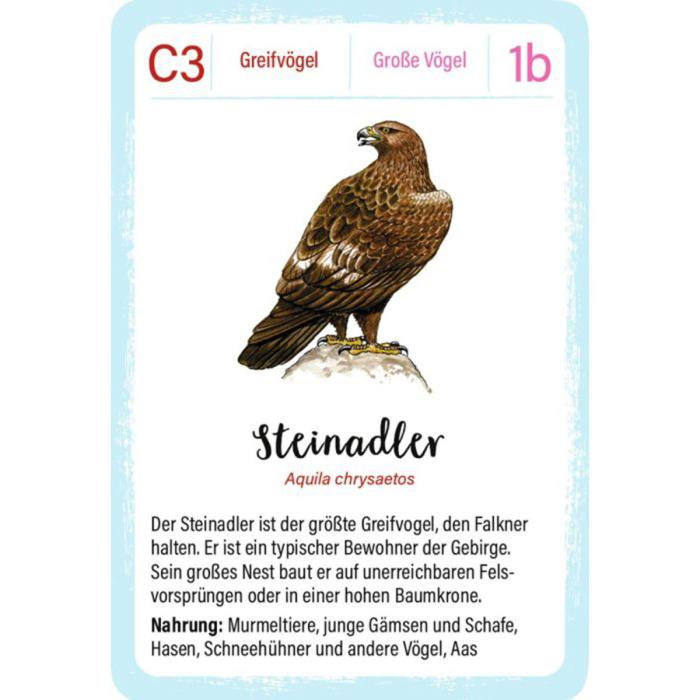 Moses-Expedition-Natur-Quartett-Vögel-02.jpg