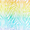 Sarah´s-Silks-Spielseide-Rainbow-Zebra-05.jpg