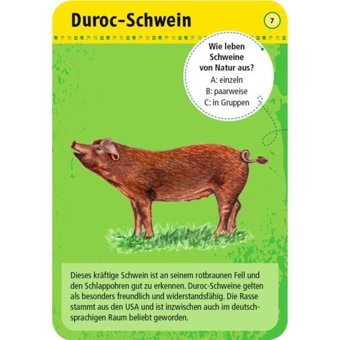 Moses-Exp-Natur-50-Tiere-auf-dem-Bauernhof-08.jpg