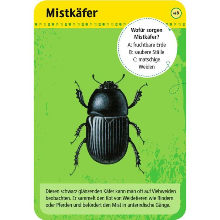 Moses-Exp-Natur-50-Tiere-auf-dem-Bauernhof-04.jpg