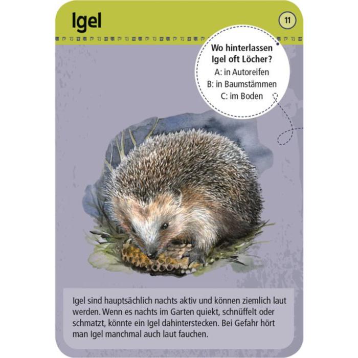 Moses-Exp-Natur-50-Tiere-der-Nacht-04.jpg