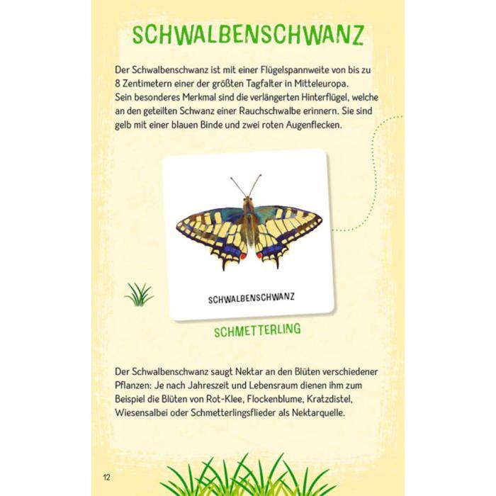 Moses-Expedition-Natur-Das-große-Insekten-Memo-08.jpg