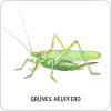 Moses-Expedition-Natur-Das-große-Insekten-Memo-05.jpg