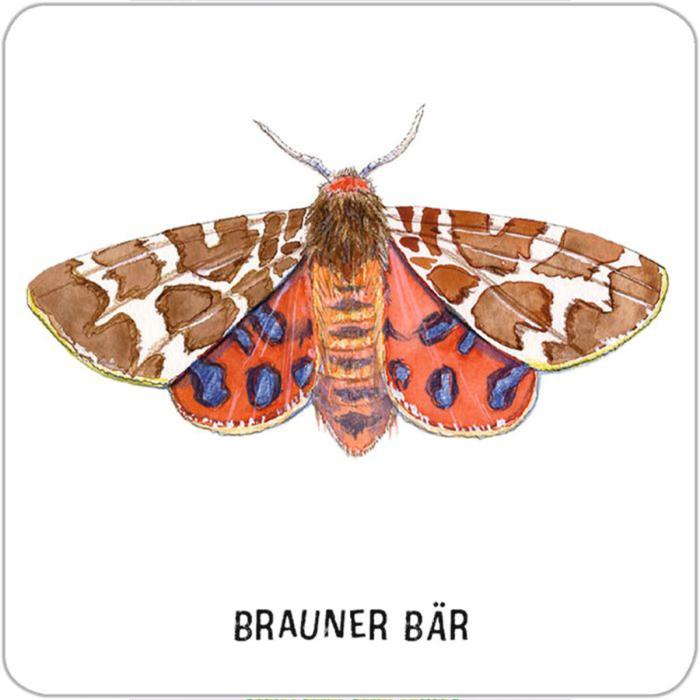 Moses-Expedition-Natur-Das-große-Insekten-Memo-04.jpg
