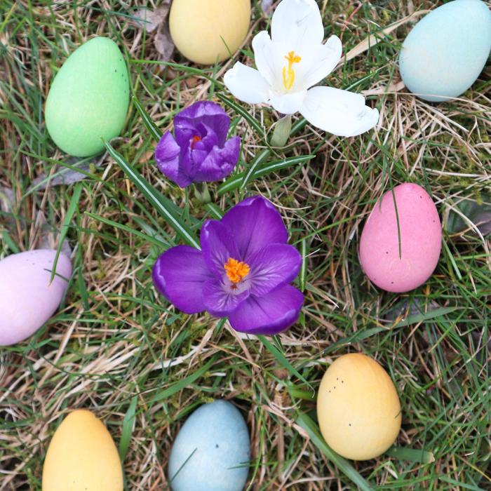 Grapat-Happy-Eggs-07.jpg