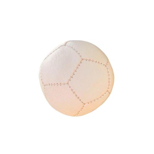 Lautenbach-Kinderball-aus-Ziegenleder-klein-Titel.jpg