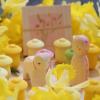 Ostheimer-x-Grapat-Hello-Spring-15.jpg