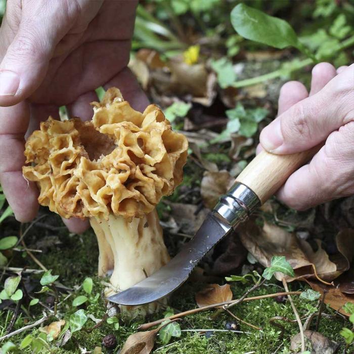 Opinel-Opinel-No-08-Pilzmesser-mit-Bürste-04.jpg