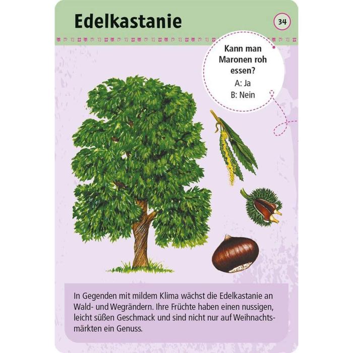 Moses-Expedition-Natur-50-essbare-Wildpflanzen-09900-03.jpg