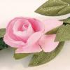 VAH-Jungfernkranz-rosa-684-03.jpg