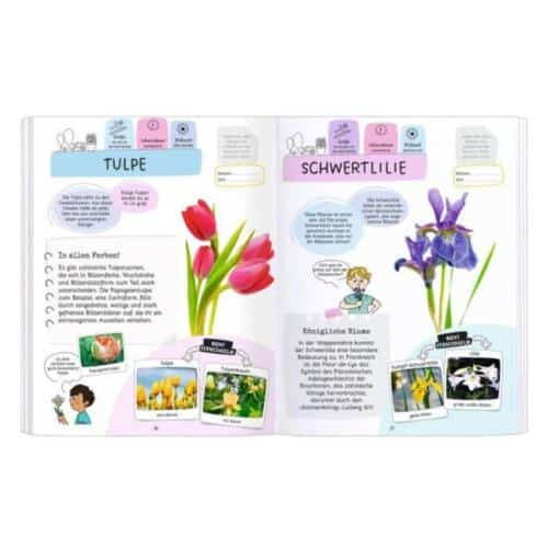 Moses-Expedition-Natur-Rätseln-Stickern-Bestimmen-Blumen-03.jpg