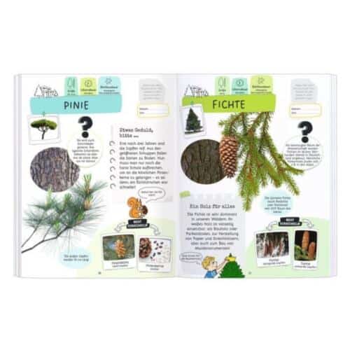 Moses-Expedition-Natur-Rätseln-Stickern-Bestimmen-Bäume-02.jpg