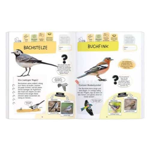 Moses-Expedition-Natur-Rätseln-Stickern-Bestimmen-Vögel-03.jpg